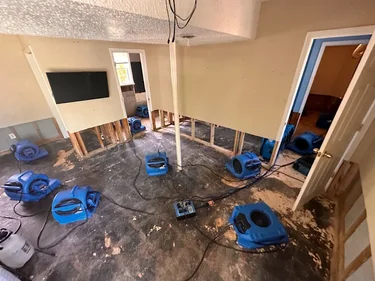 water dryers in a living room