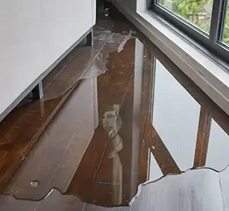 our services - water mitigation