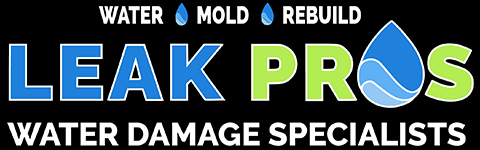 Leak Pros Georgia Norcross, GA